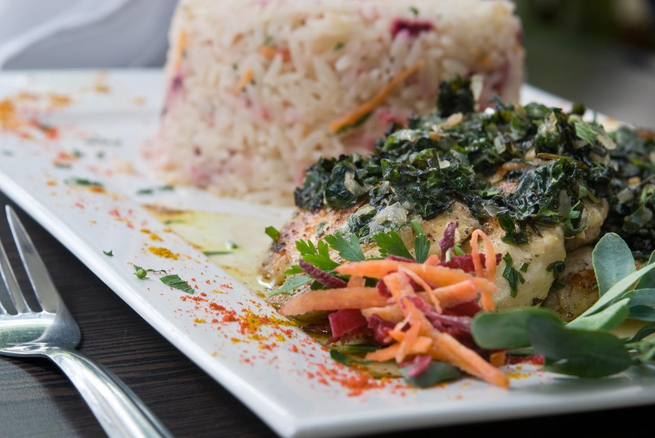 Oyo Hotel Arembepe Beach Hotel, Camacari מראה חיצוני תמונה