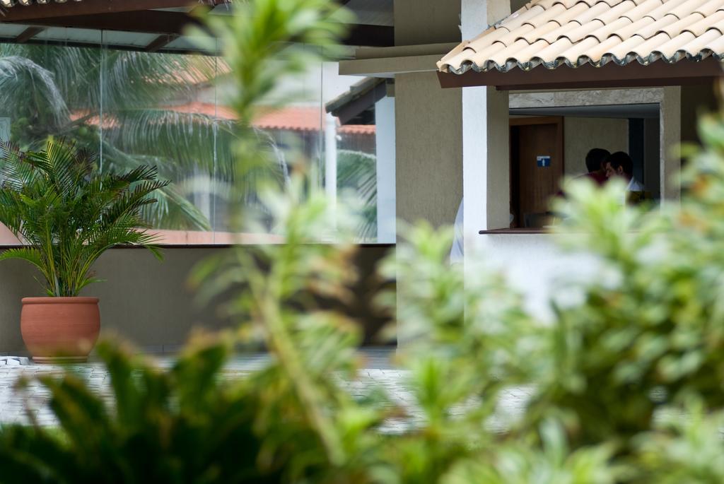 Oyo Hotel Arembepe Beach Hotel, Camacari מראה חיצוני תמונה
